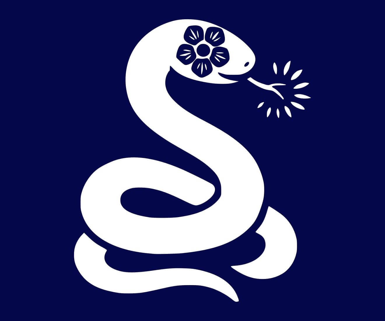 snake chinese horoscope 2026