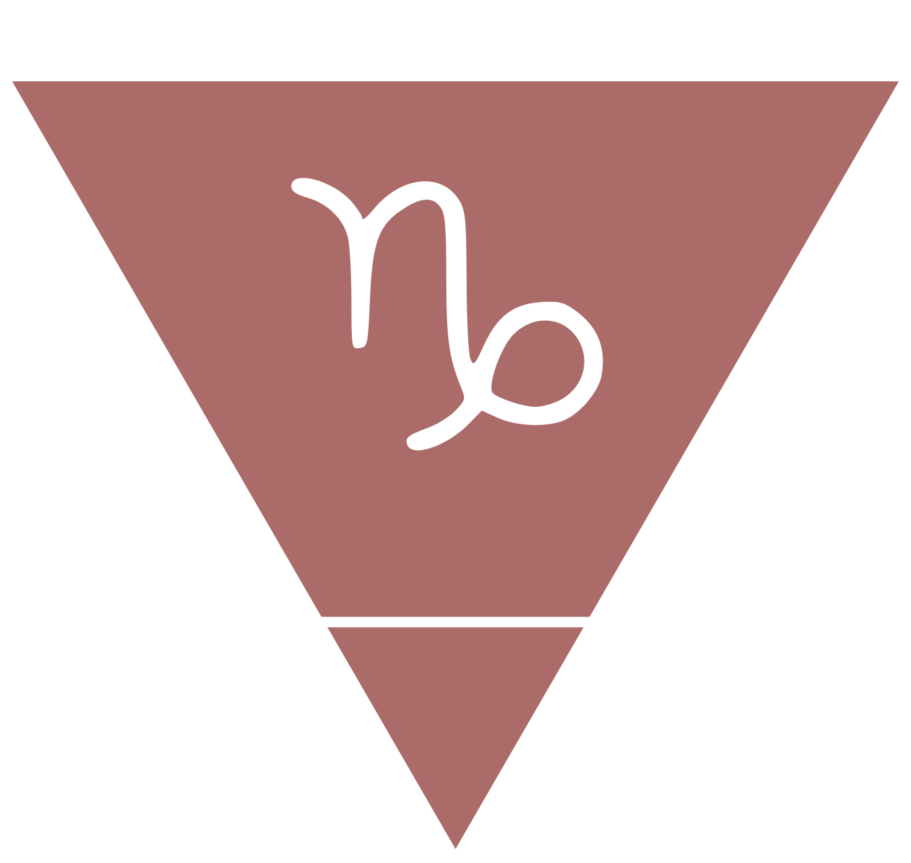 Horoscope January 2026 Capricorn