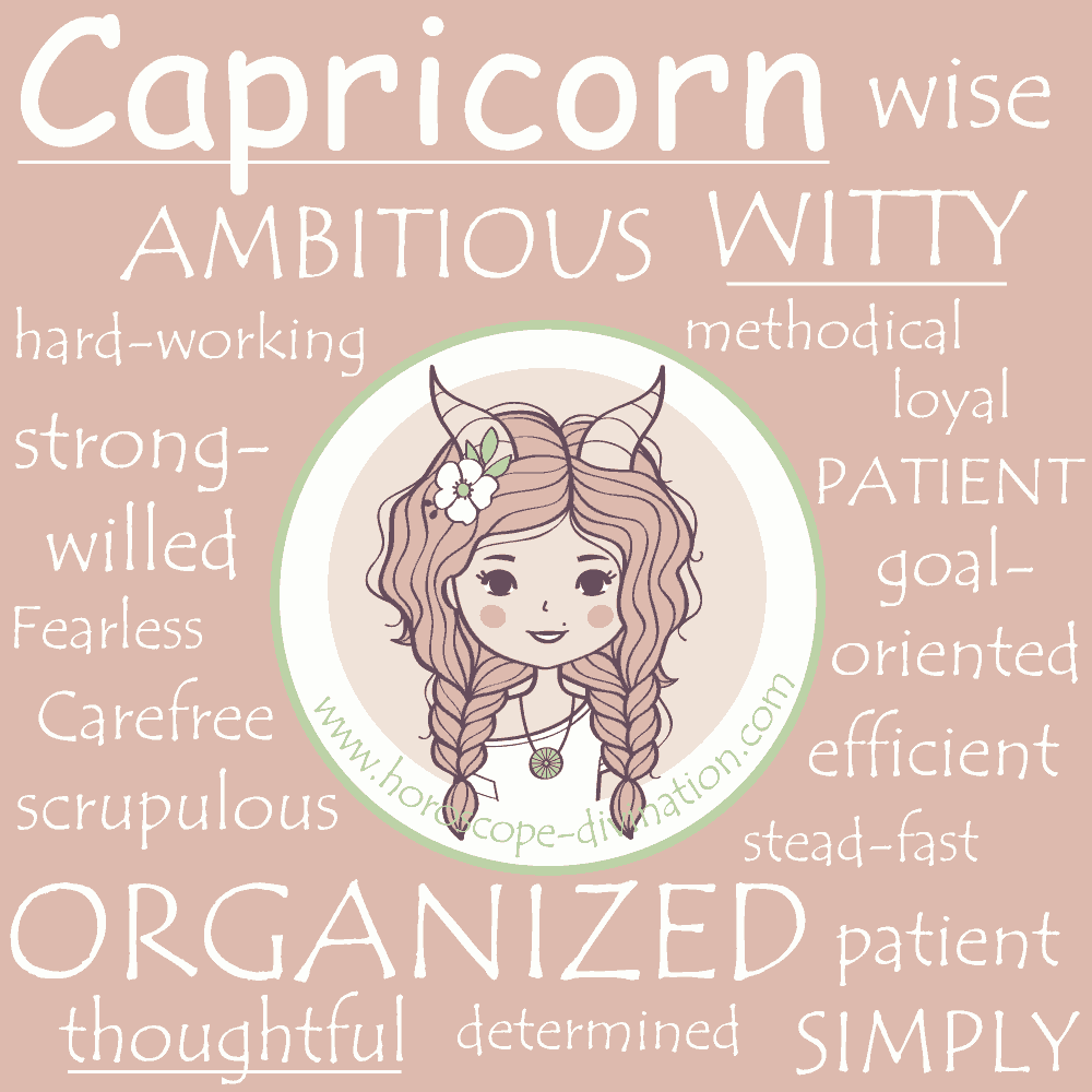 capricorn traits of personality meme